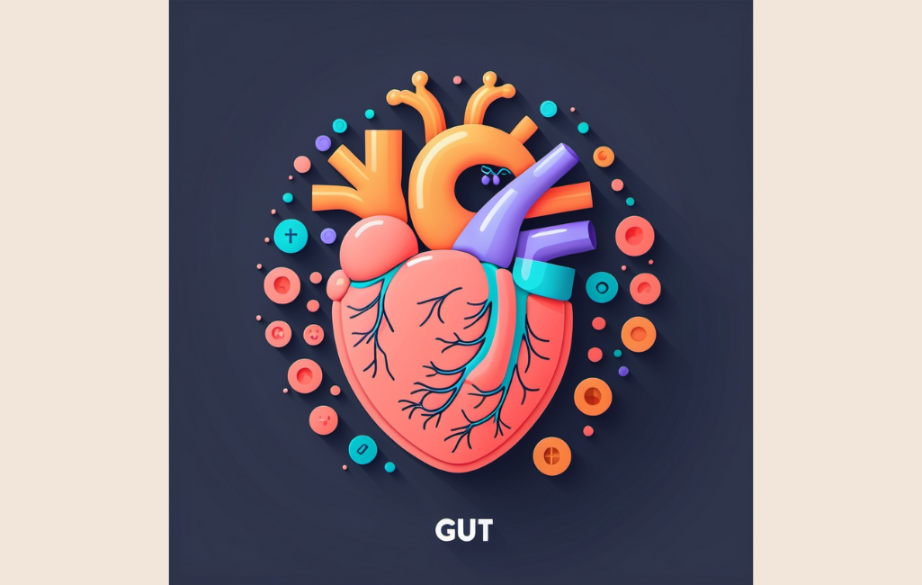 gut health